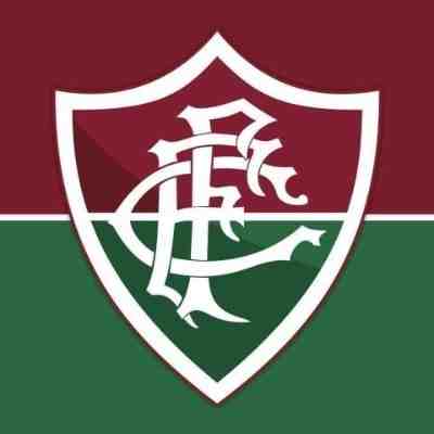 巴媒：弗鲁米嫩塞因解放者杯违规被罚款9万美元